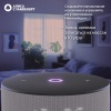 Умная колонка Яндекс.Станция Мини 3, серый